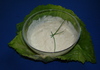 31210_small