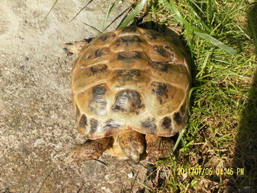 59969_small
