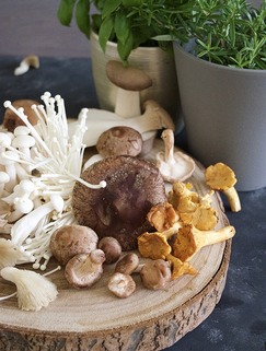 Asijské houby v kuchyni